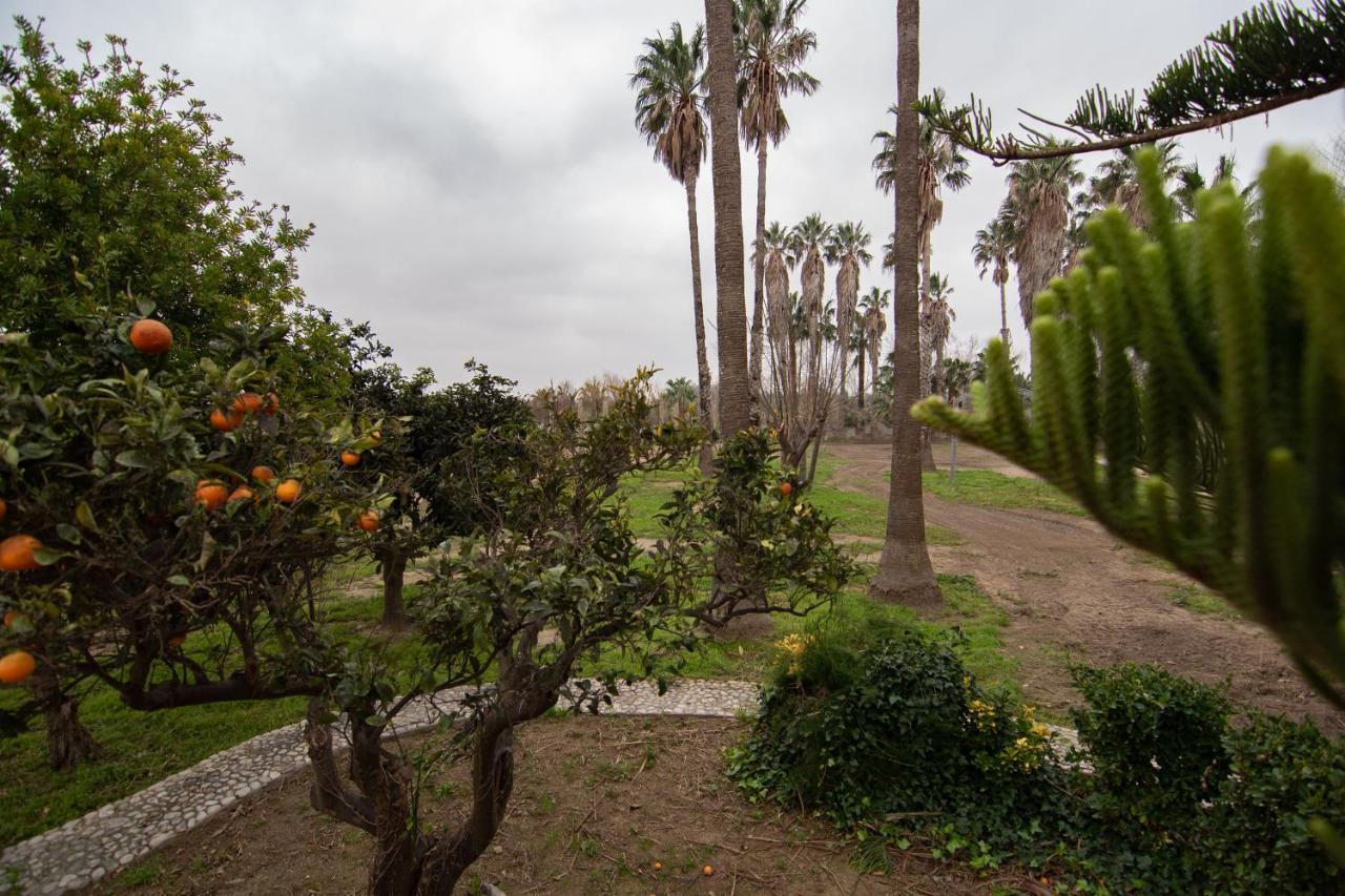 Villa Del Riu Deltebre Exterior foto